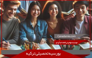 Turkish scholarship