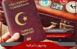 Turkish passport