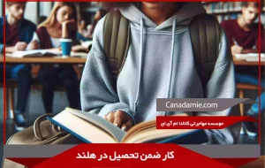 کار ضمن تحصیل در هلند